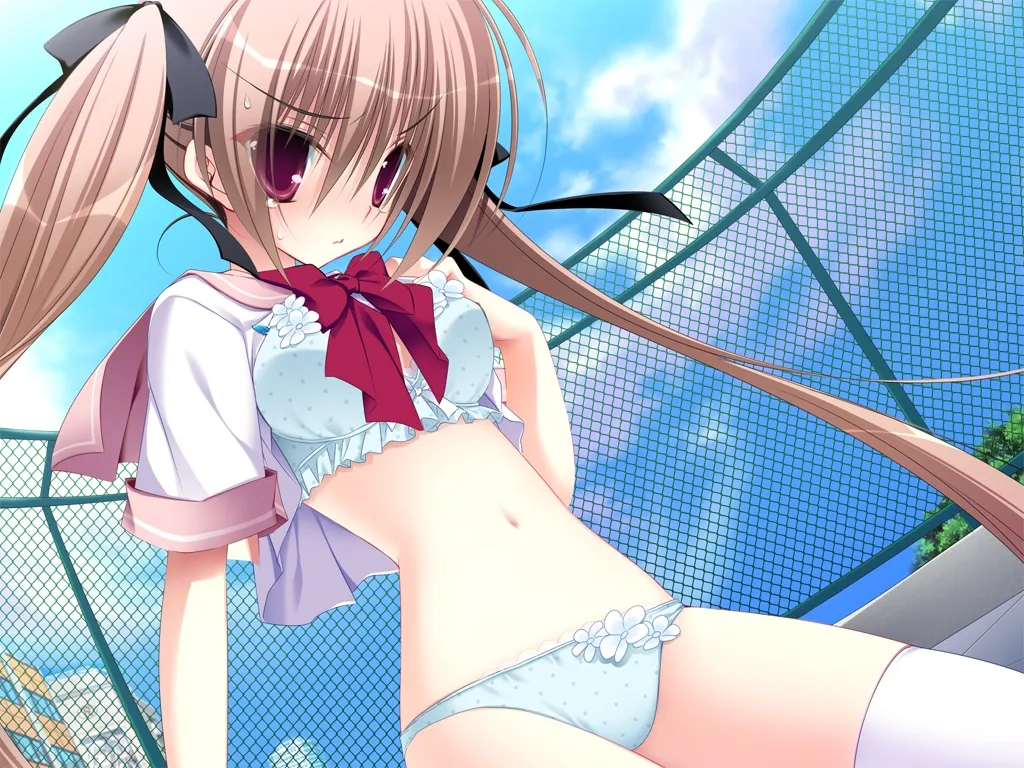 妹の日記游戏截图2