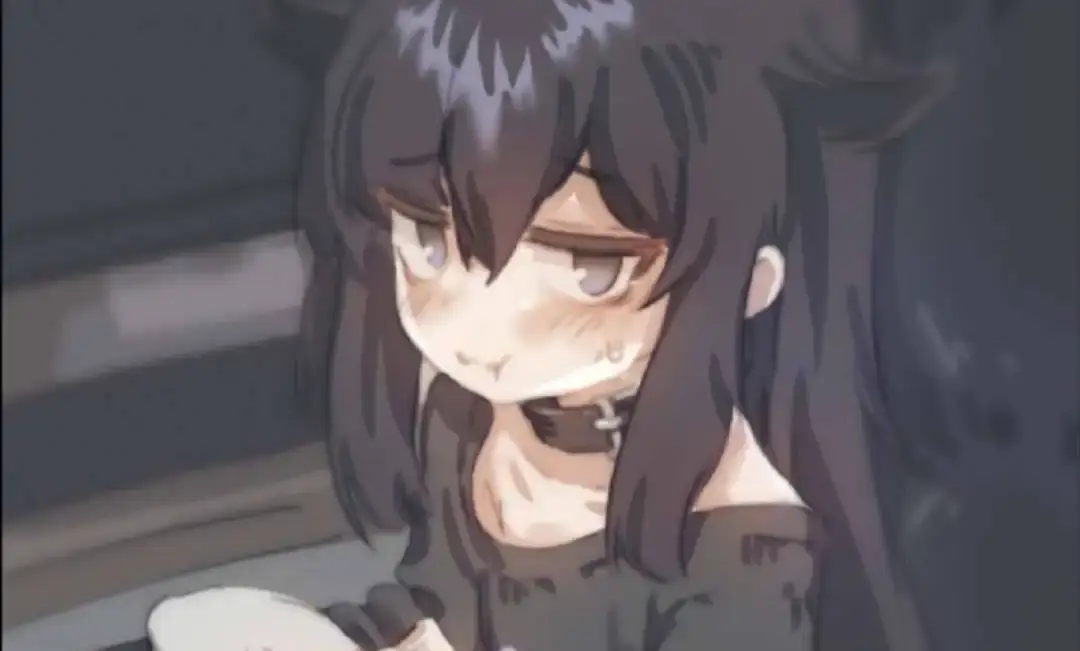 纸巾盒系列8部SLG游戏合集 安卓直装版 多分支剧情互动体验