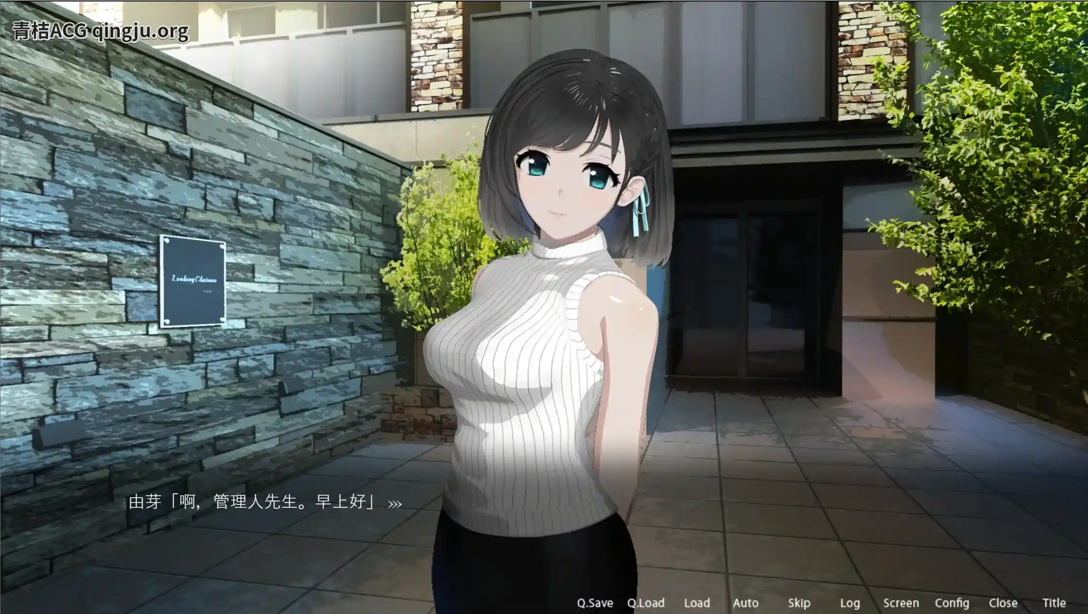 【PC硬盘/官中/SLG】《ROOM：少女私密物语 V2.02》全视角解谜｜4K动态渲染｜键鼠精准操控指南图片-3