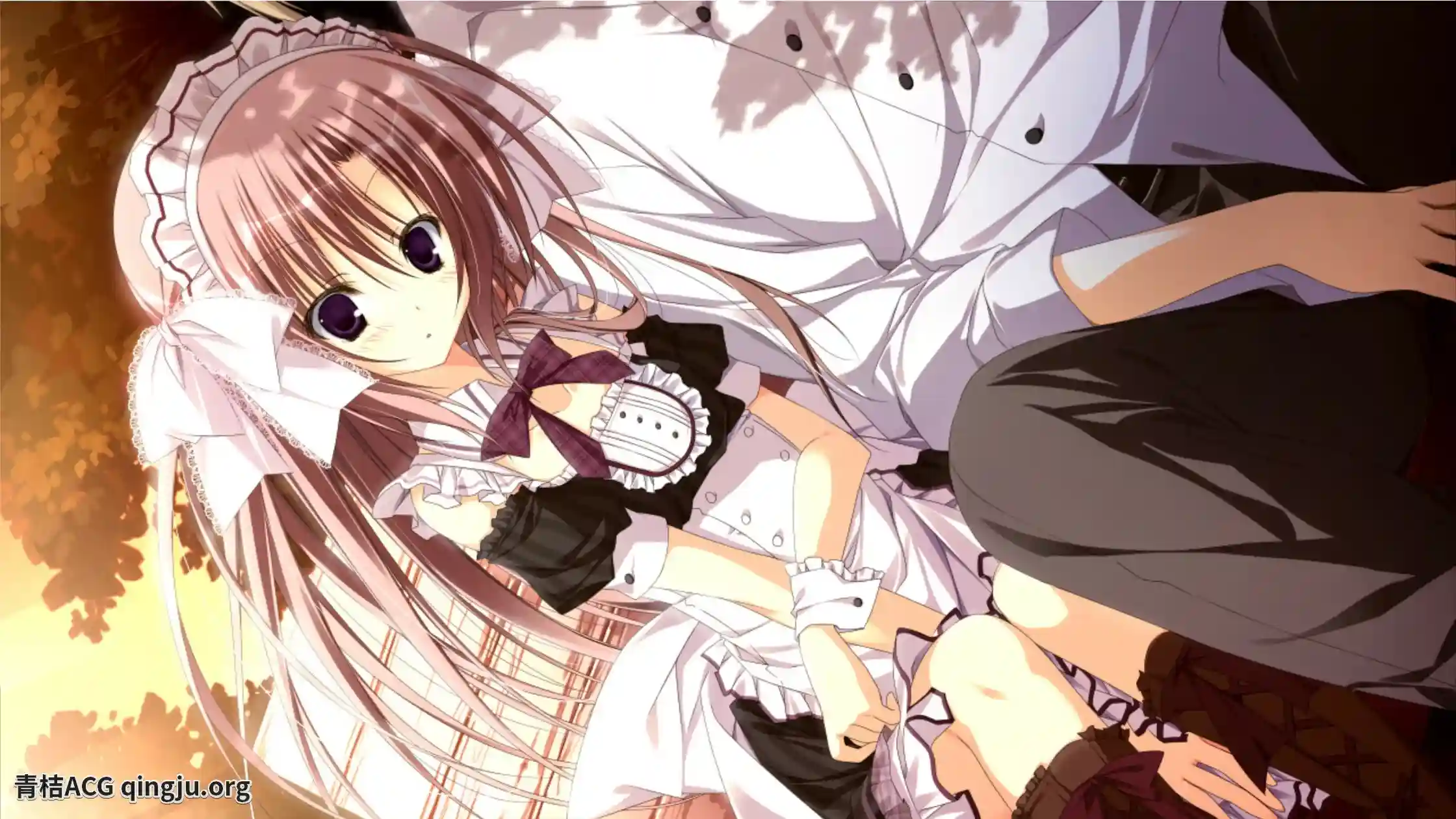 【PC硬盘】向日葵的教会与长夏假期／向日葵の教会と長い夏休み 完整解析