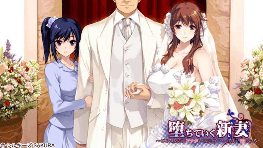 《堕落的新娘~对不起亲爱的~但我仍然爱你》PC版：情感ADV游戏深度评测与配置指南