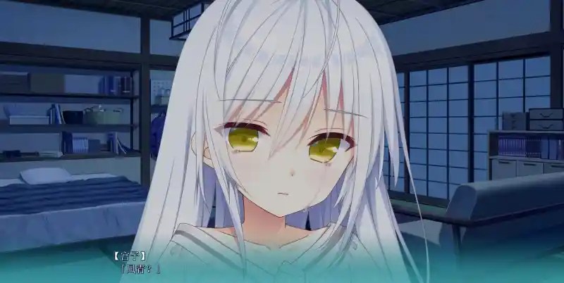 恋爱成双/Futamata Ren'ai: Two Times the Trouble Build.19349035 官方简体中文版 PC电脑版v1.2.0配置需求与更新内容图片-2