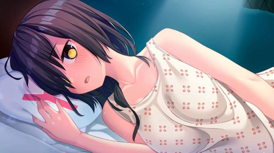 拔作岛2 NUKITASHI 2 Ver2.02 官方中文版+DLC 完整PC版发布图片-1